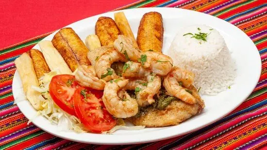 House Tilapia