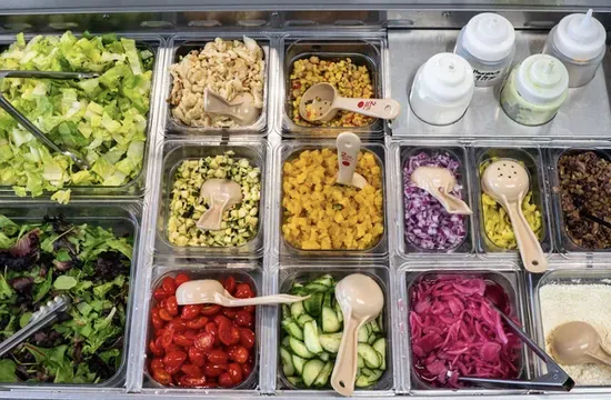 No-Protein