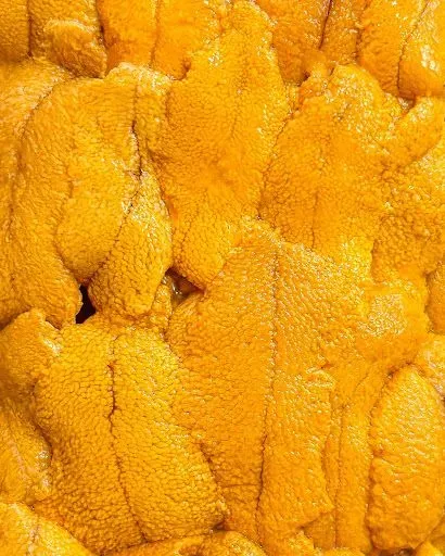 Uni