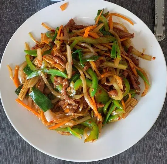 F24. Hot & Spicy Shredded Beef