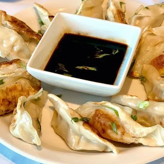 CHICKEN DUMPLINGS