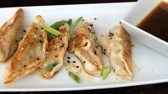 CHICKEN DUMPLINGS