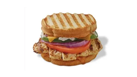 Grilled Chicken Panini