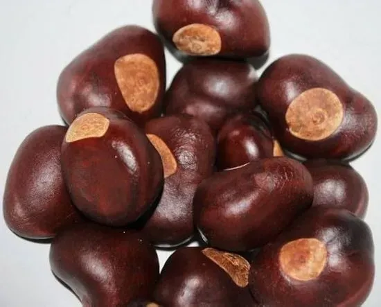Buckeye East Latte