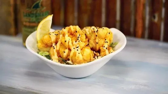Lava Lava Shrimp