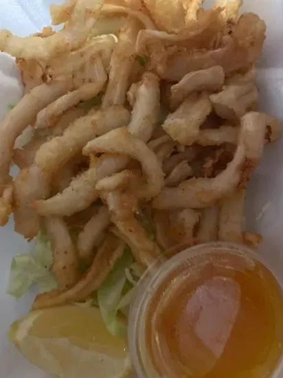 AP-9. Calamari