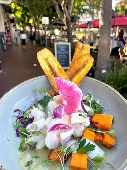 PERUVIAN CEVICHE (GF)