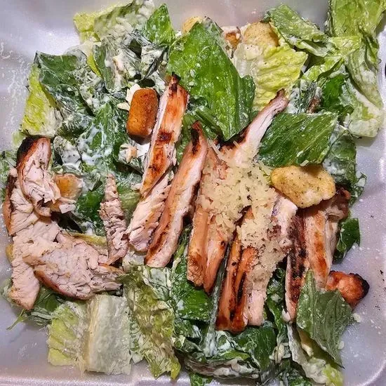 Chicken Caesar Salad