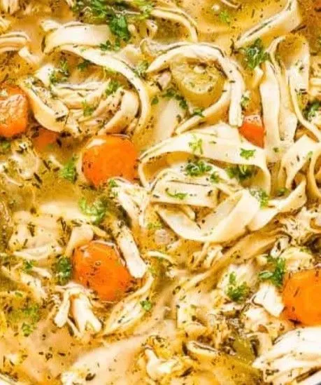 Chicken Noodle/Serves 9-10