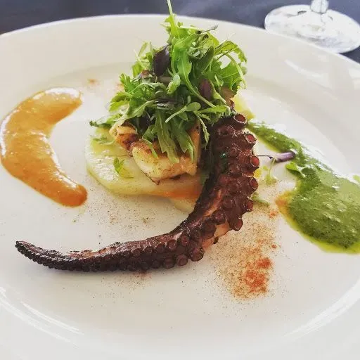 MEDITERRANEAN STYLE OCTOPUS
