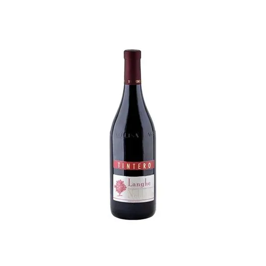 ELVIO TINTERO Langhe Nebollio 2020 / Italy / 750ml