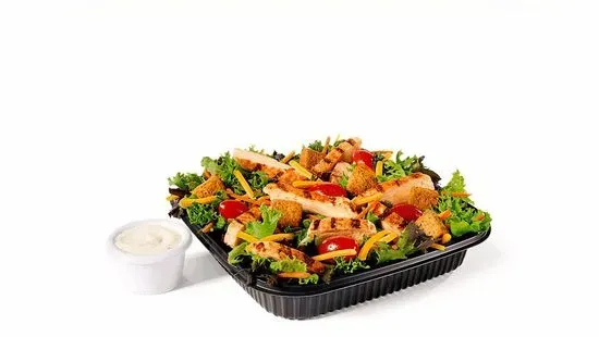 Garden Salad w/ Grilled Chicken