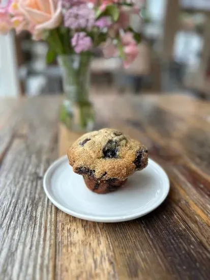 Whole Wheat Blueberry Muffin