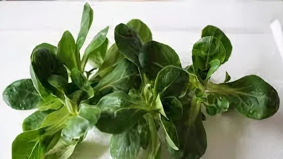 Marches Salad