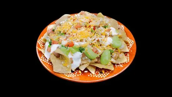 Vegetarian Nachos