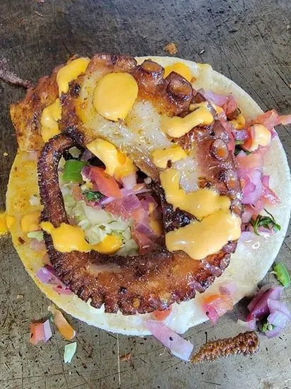 Octopus Taco