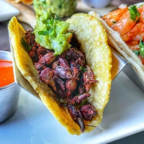 Taco de Chapulines