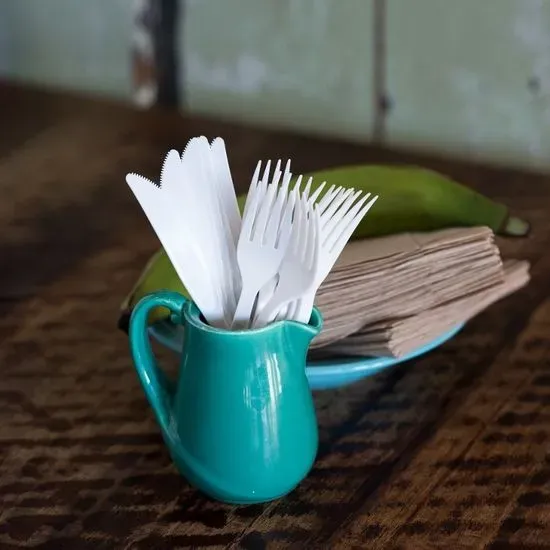 10 Biodegradable Spoons