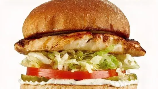 Grilled Chicken Sandwich