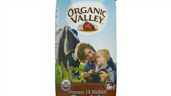 Kid's Organic Chocolate Milk