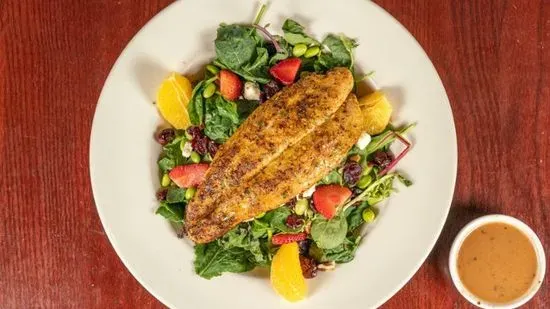 Lunch Grilled Fish Artisan Blend Salad