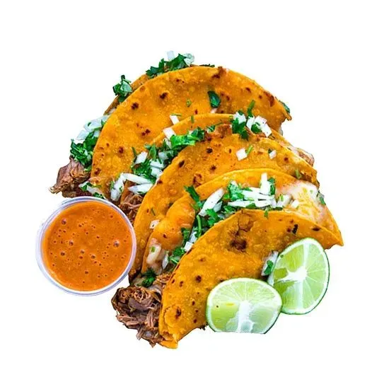 Quesa Birria Taco