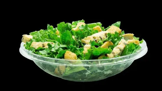 Grilled Chicken Caesar Salad