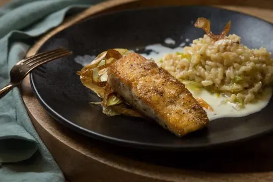 Fish of the Day & Risotto