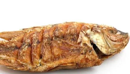 Red Snapper