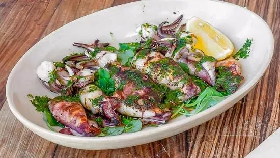 Grilled Calamari