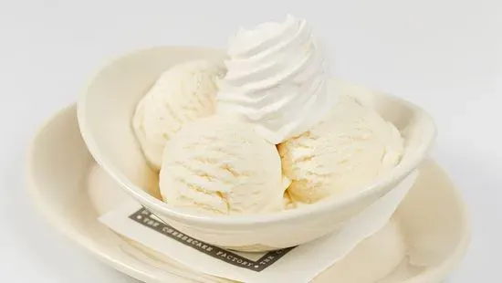 Bowl of Vanilla Ice Cream