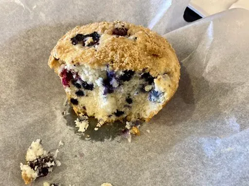 Jumbo Blueberry Muffin