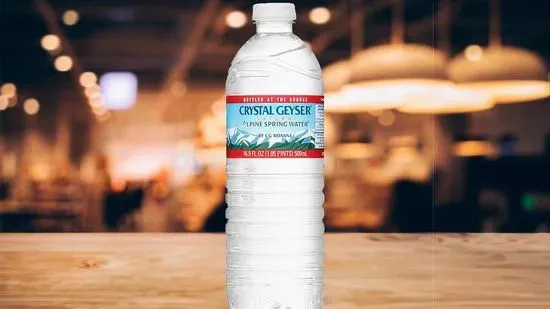 Water Bottle (16.9oz)