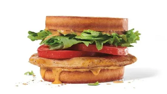 Grilled Chicken Sandwich 