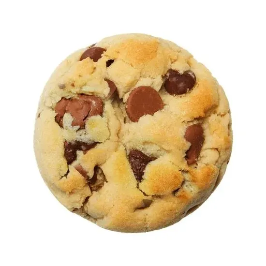 Chocolate Chip PUCK