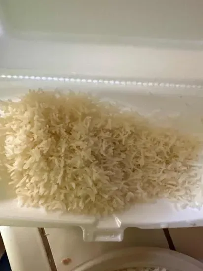 Basmati Rice