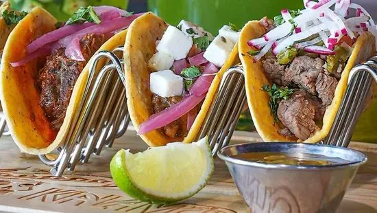 Taco Carnitas