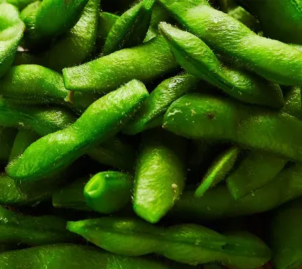 Edamame