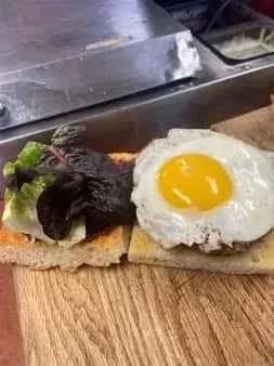 Duck