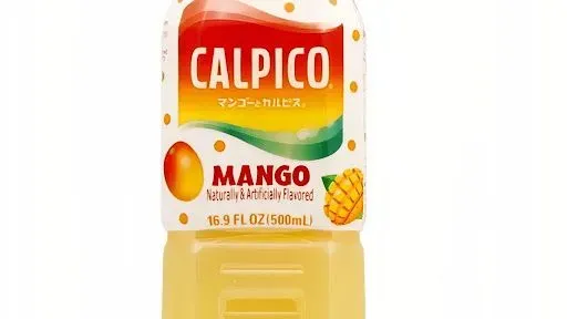 Calpico Japanese Non-Carbonated Soft Drink - Mango 16.9oz (Japan Import)
