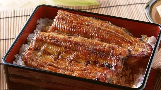 Unagi Don