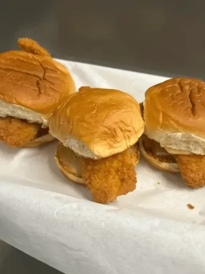 Flounder Sliders (3)