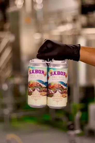 TO-GO Sabor del Sol Mexican Lager Canned 4-Pack