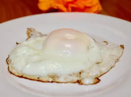 C Fried Egg