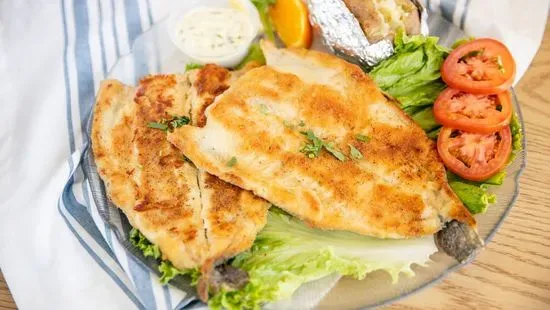 Tilapia