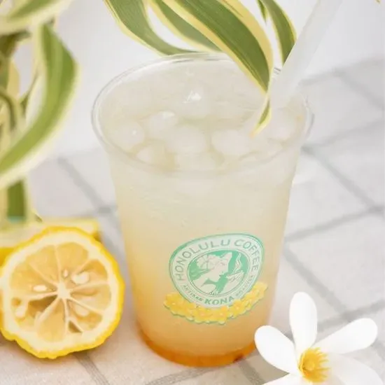 SEASONAL SPRITZER