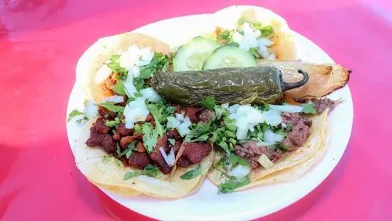 Tripa Taco