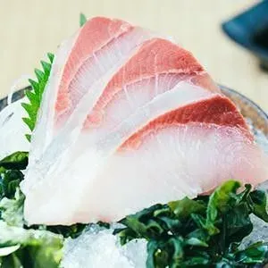 YELLOWTAIL Sashimi