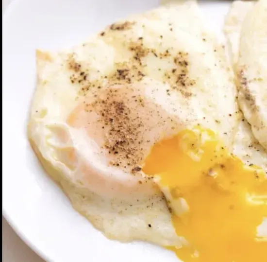 Egg