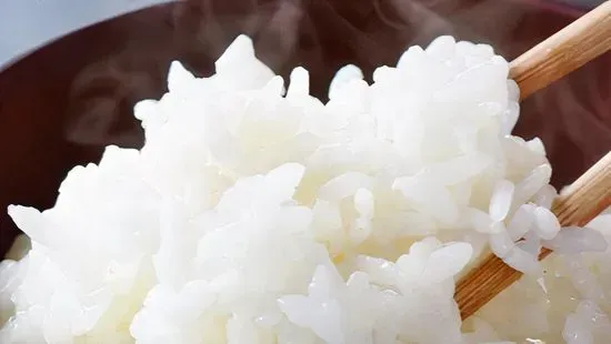 Rice